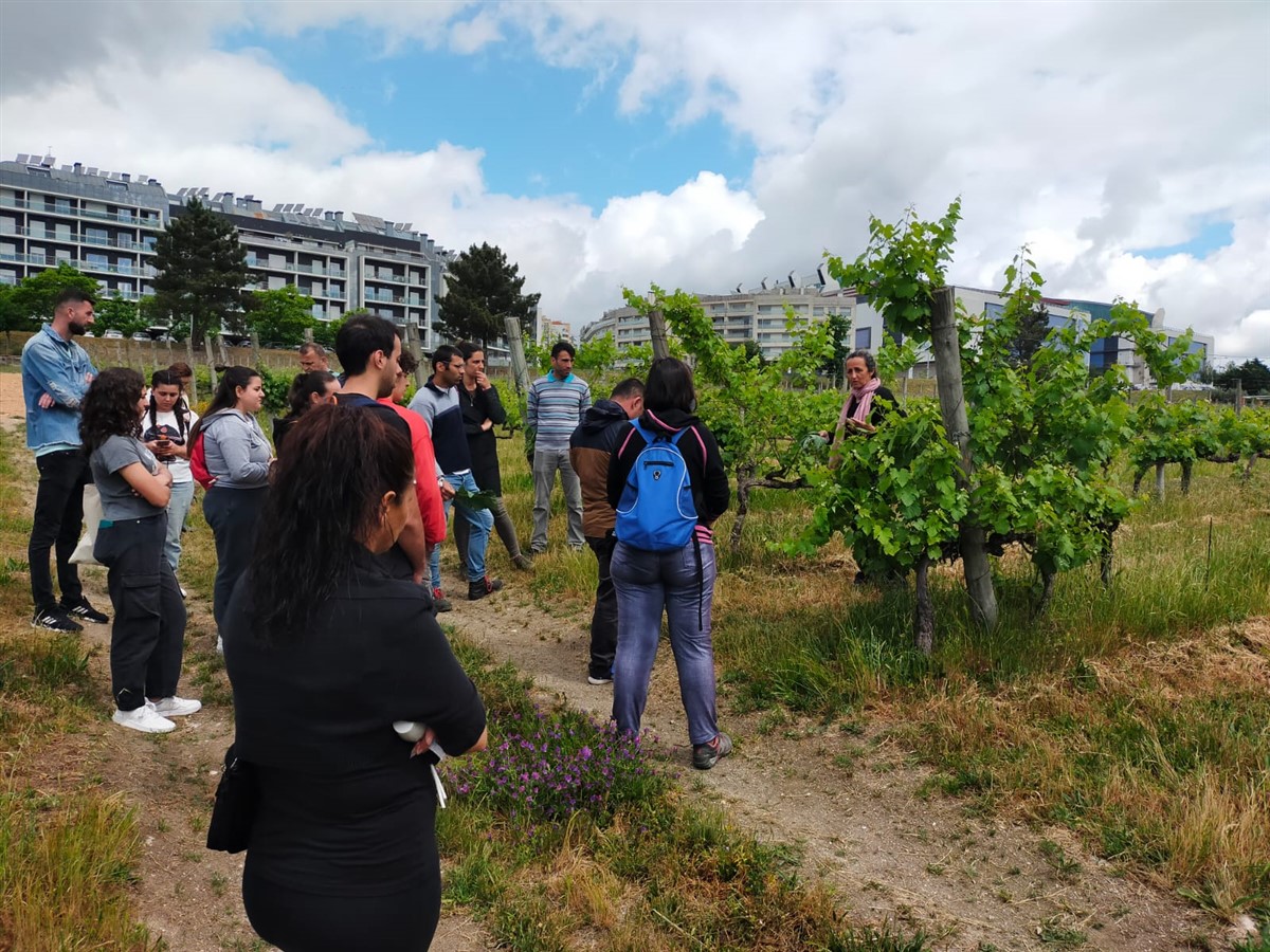 Youth Exchange PORTUGAL