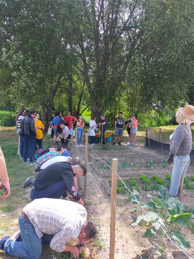 Youth Exchange PORTUGAL