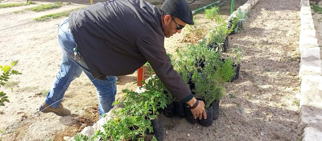 Garden Lab in Tunisia